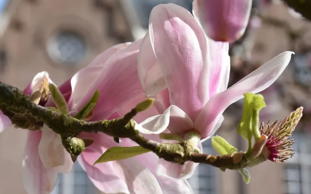 April – Benut de lente voor deze uitjes