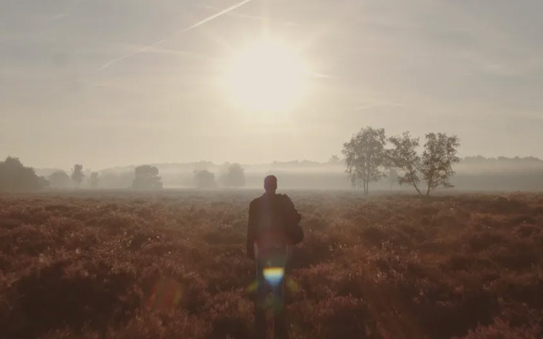 Oktober – De voordelen van een (Brabantse) herfstwandeling