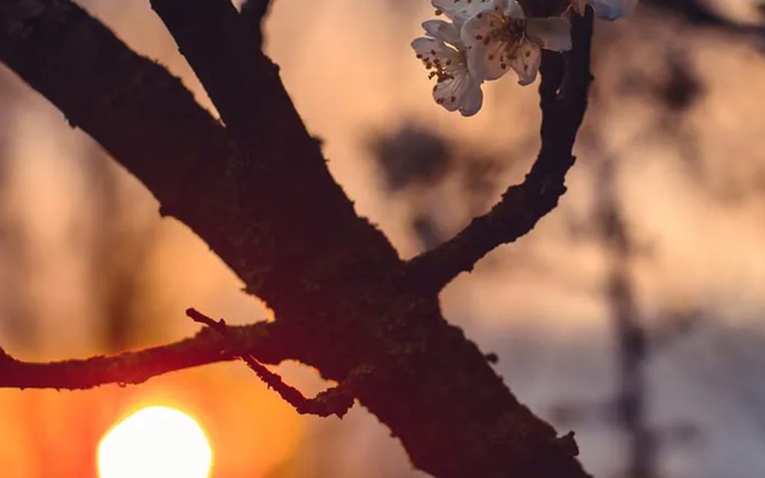 December – Ervaar het betoverende decembergevoel in Brabant