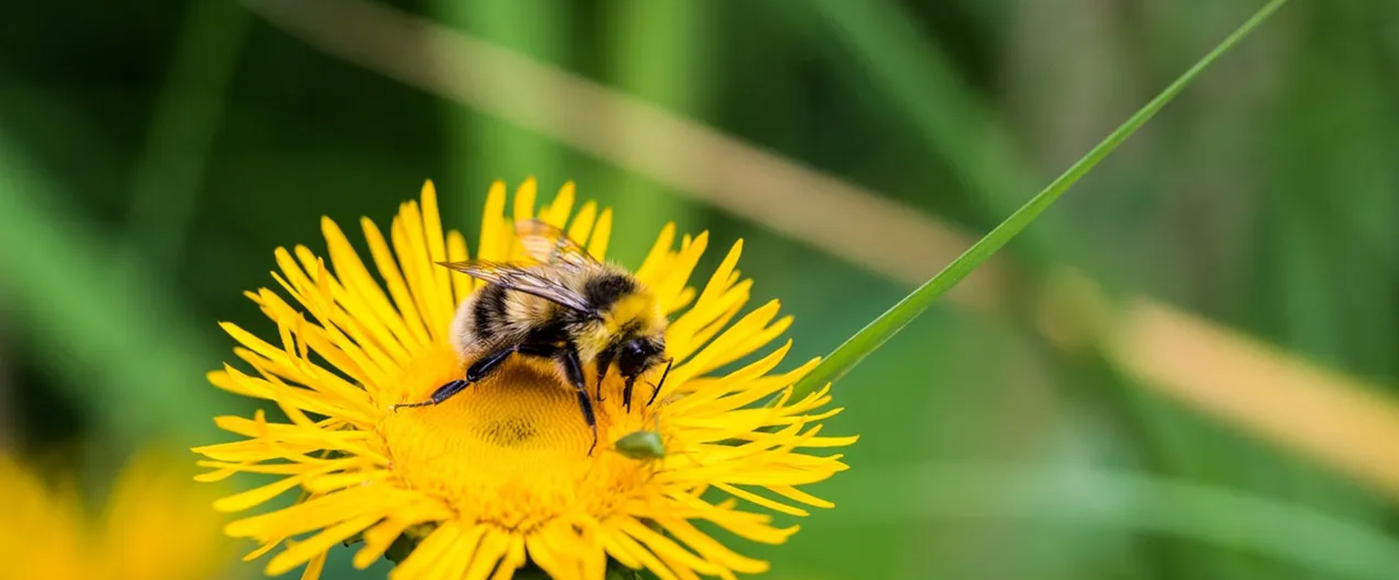 Genieten van de lentekriebels in Brabant: zo doe je dat!