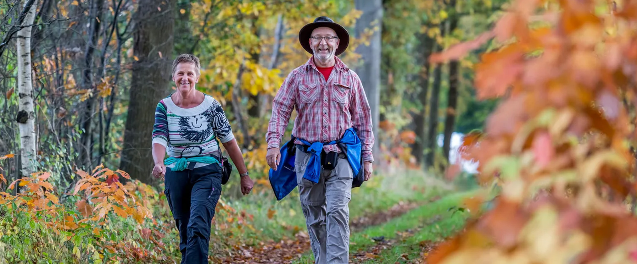 Optimaal genieten van de herfst in Brabant