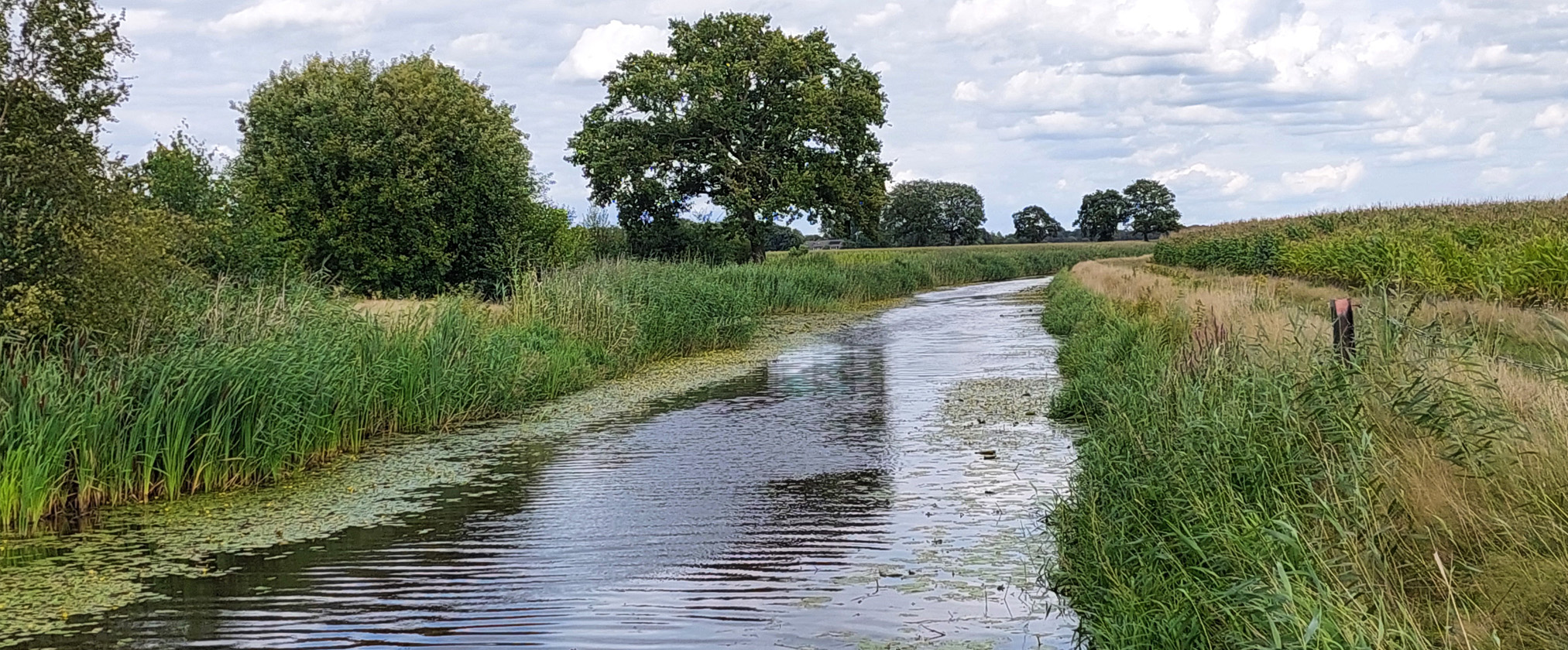 De Groote Wetering Noord Brabant zwemmen