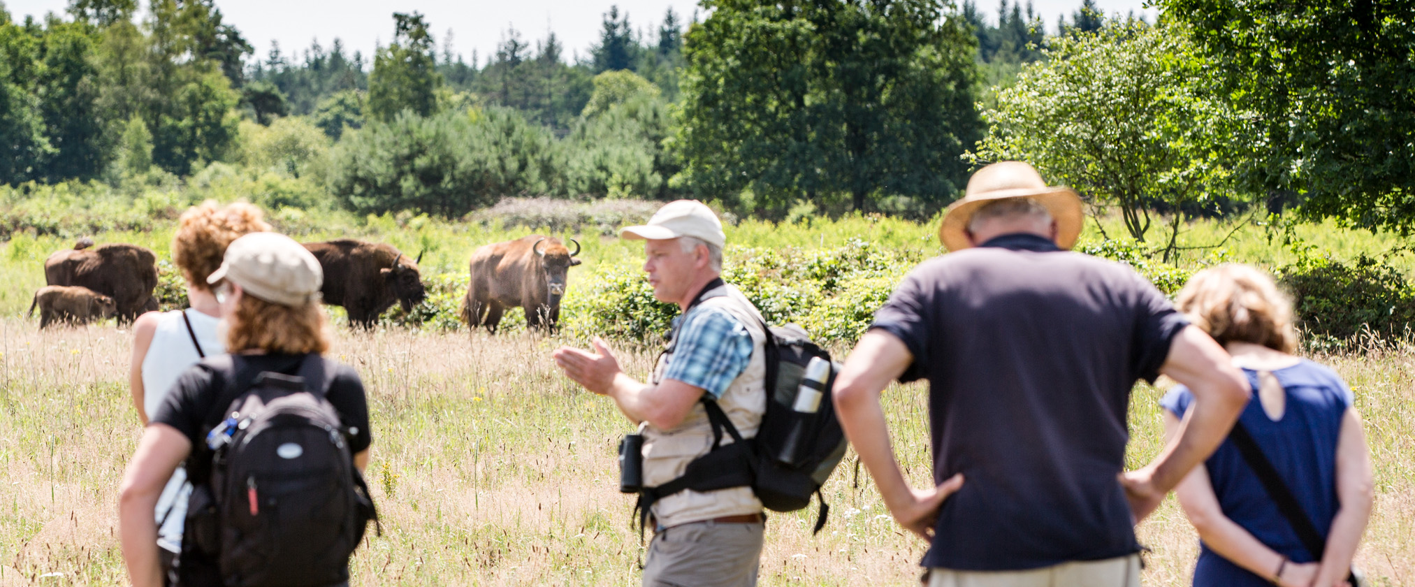 Outdoor activiteiten, wandelen in Brabant