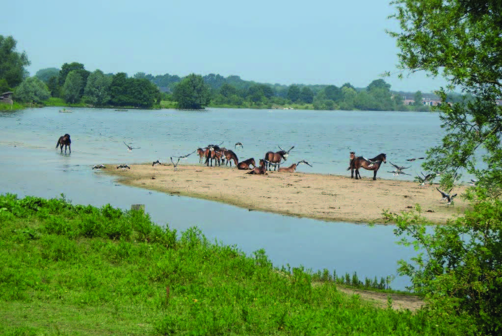 Wateractiviteiten Brabant