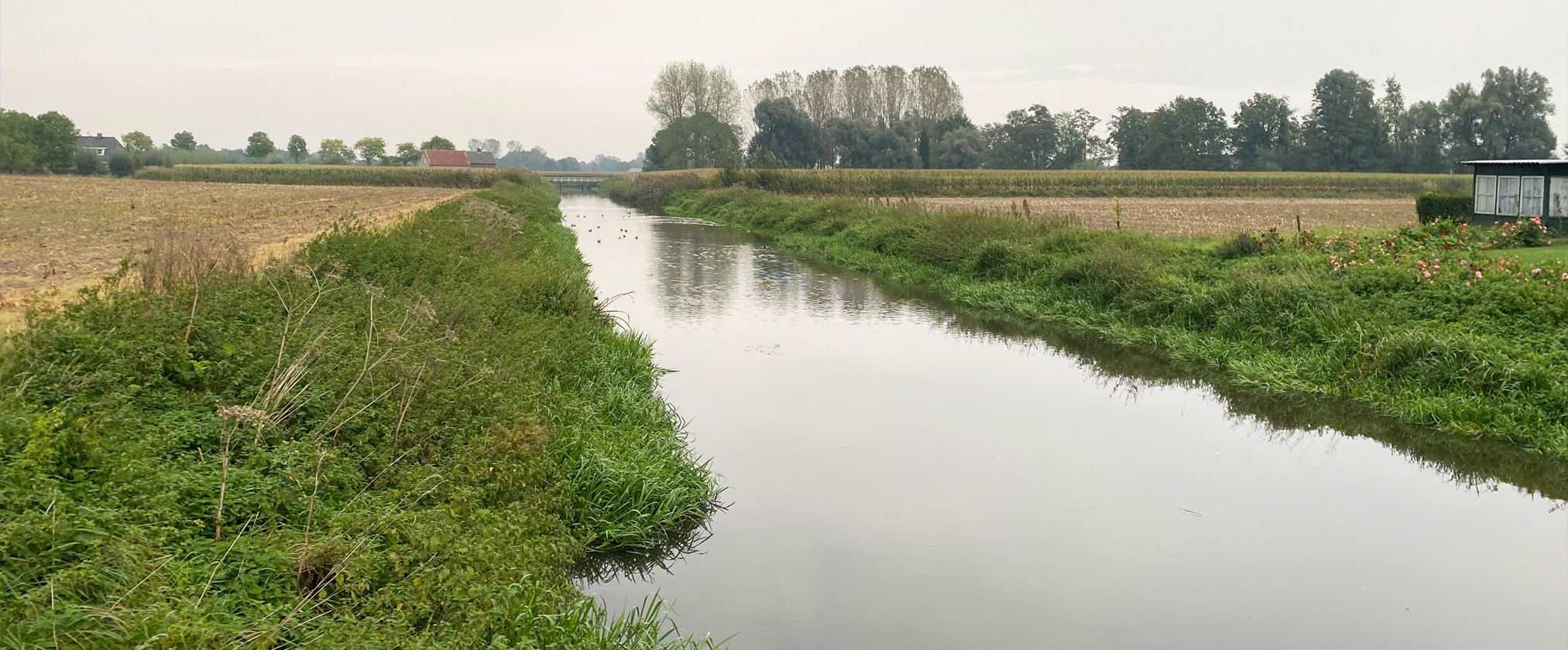 Dynamisch Beekdal van de Aa Brabant