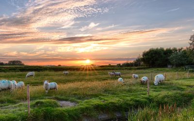 September – De magie van Brabantse nazomers: dit zijn onze tips