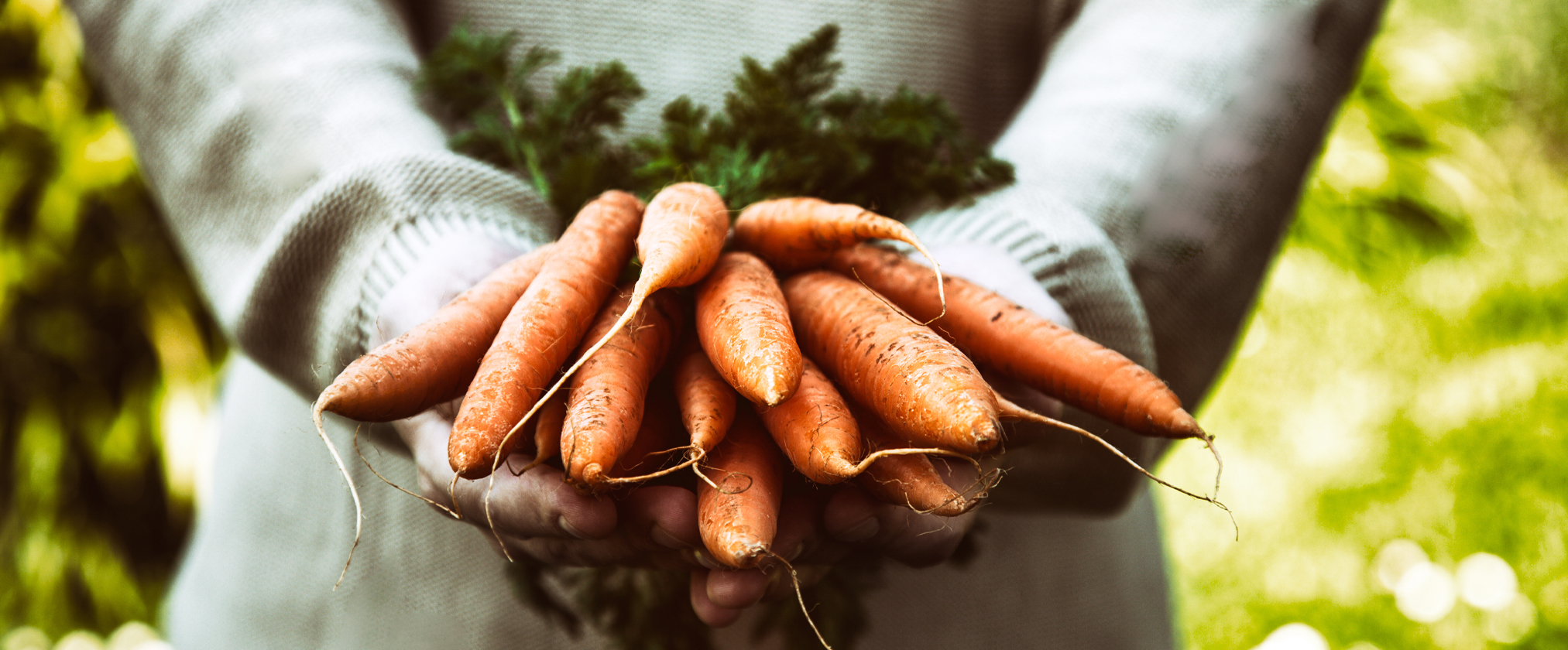 Ontdek de lekkerste Brabantse streekproducten1