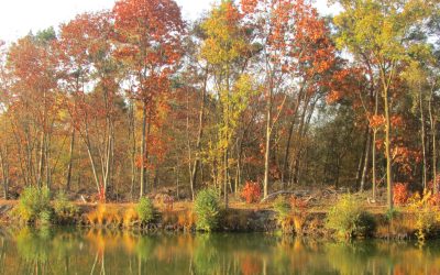 November – Geniet van het seizoen met deze herfstactiviteiten in Brabant