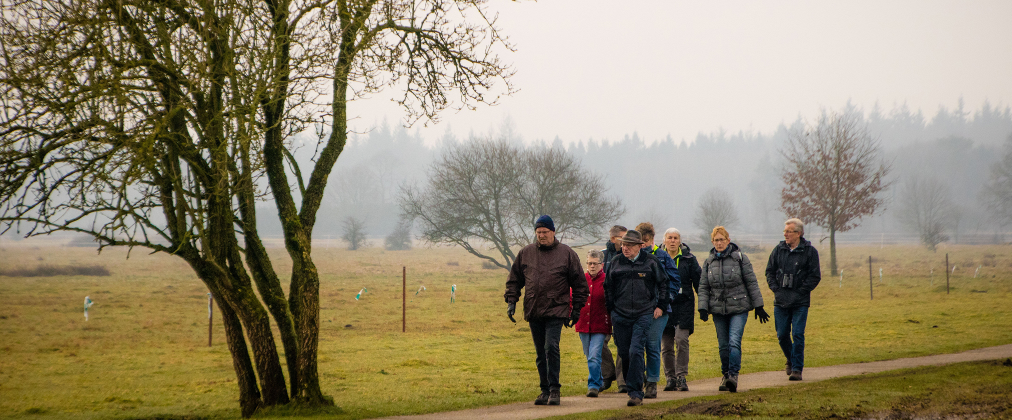 Wandelen en genieten van de natuur in Brabant