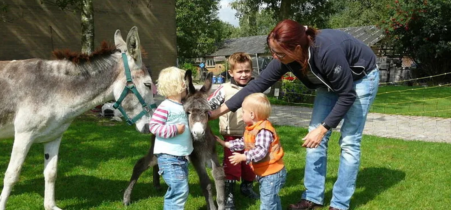 H-De-Kreitsberg-BB-tot-boerderijcamping-wijngaard-wandelen-met-ezels