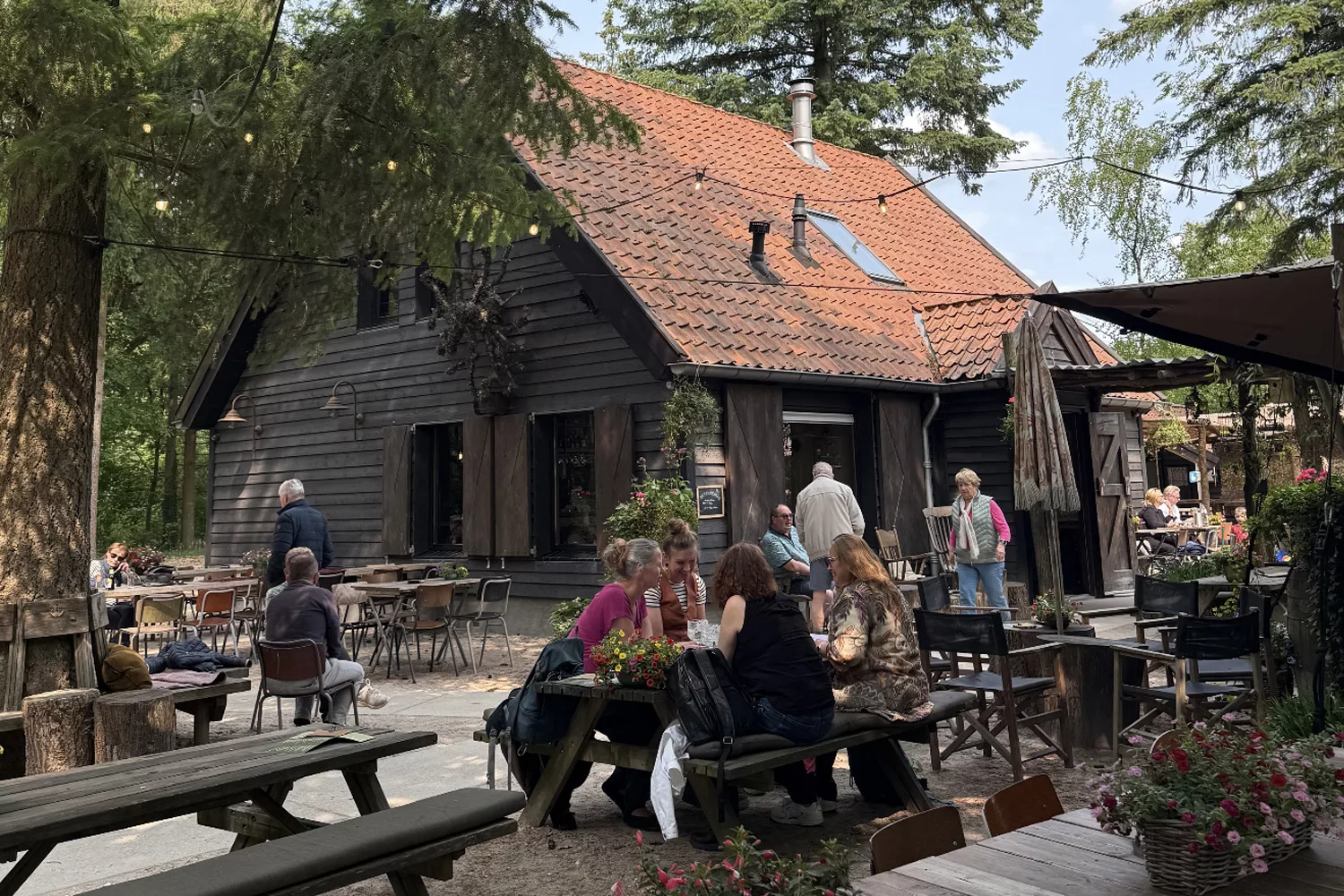 Natuur lunch en avontuur in het bos