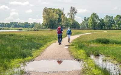 Mei – eropuit en ontdekken in Brabant