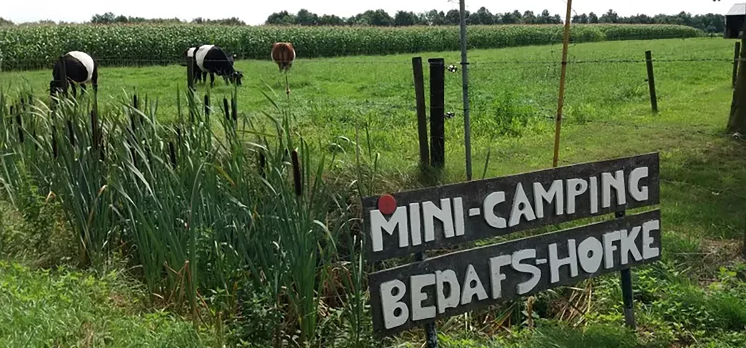 Minicamping ’t Bedafs Hofke