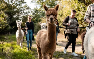 September – Welk type avonturier ben jij? Ontdek verrassende uitjes in Brabant